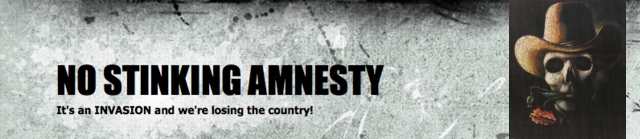 noamnesty_banner_02