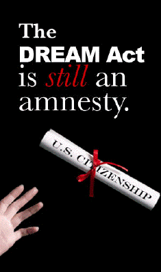 dream act_amnesty