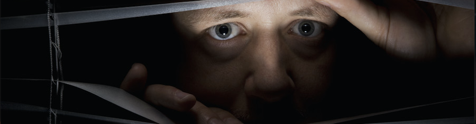 The Federal Observer